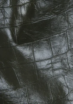 ANNA VAN TOOR KORTE ROK