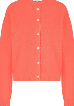 CIRCLE OF TRUST VEST