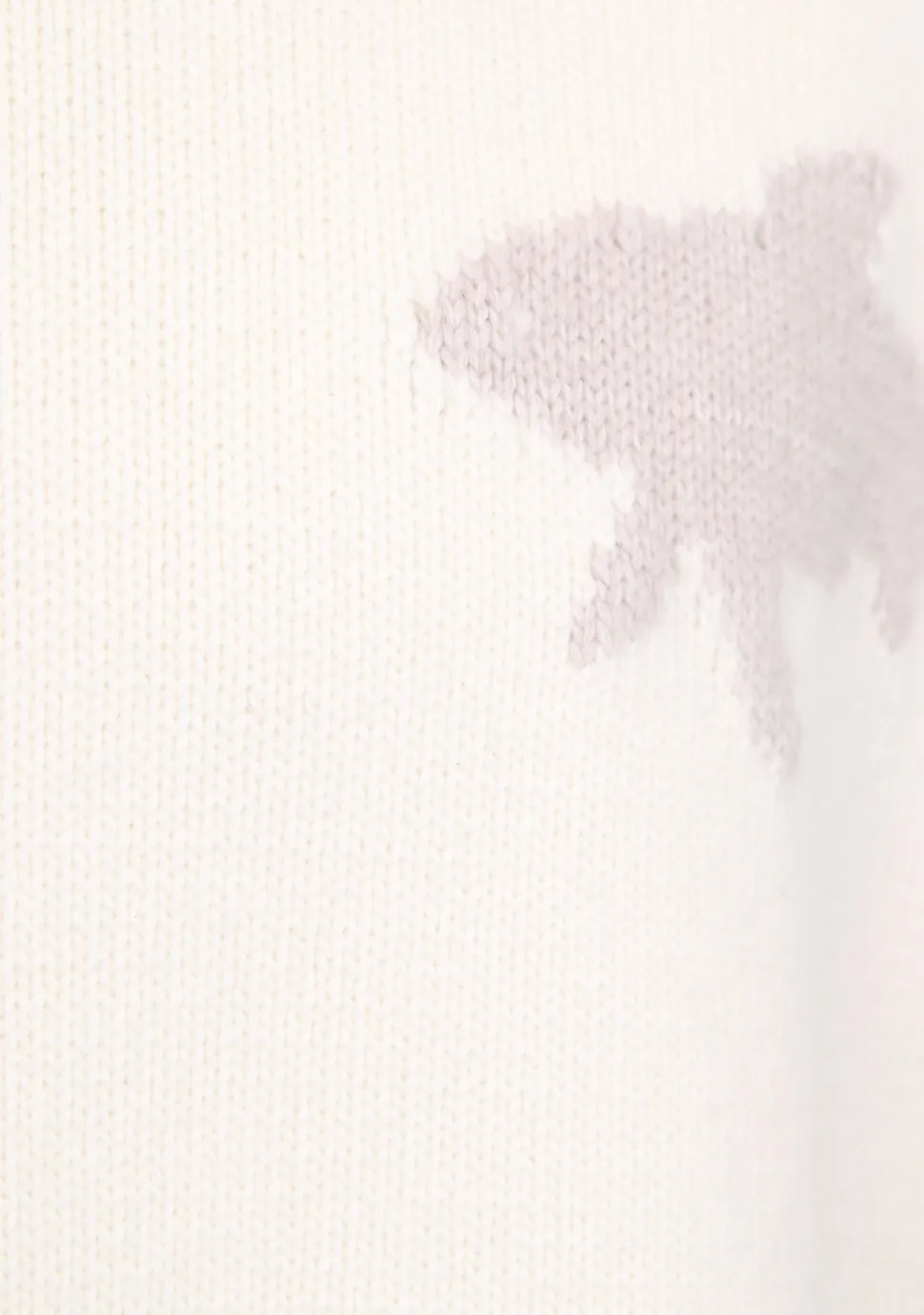 PAUL EN SHARK COLTRUI