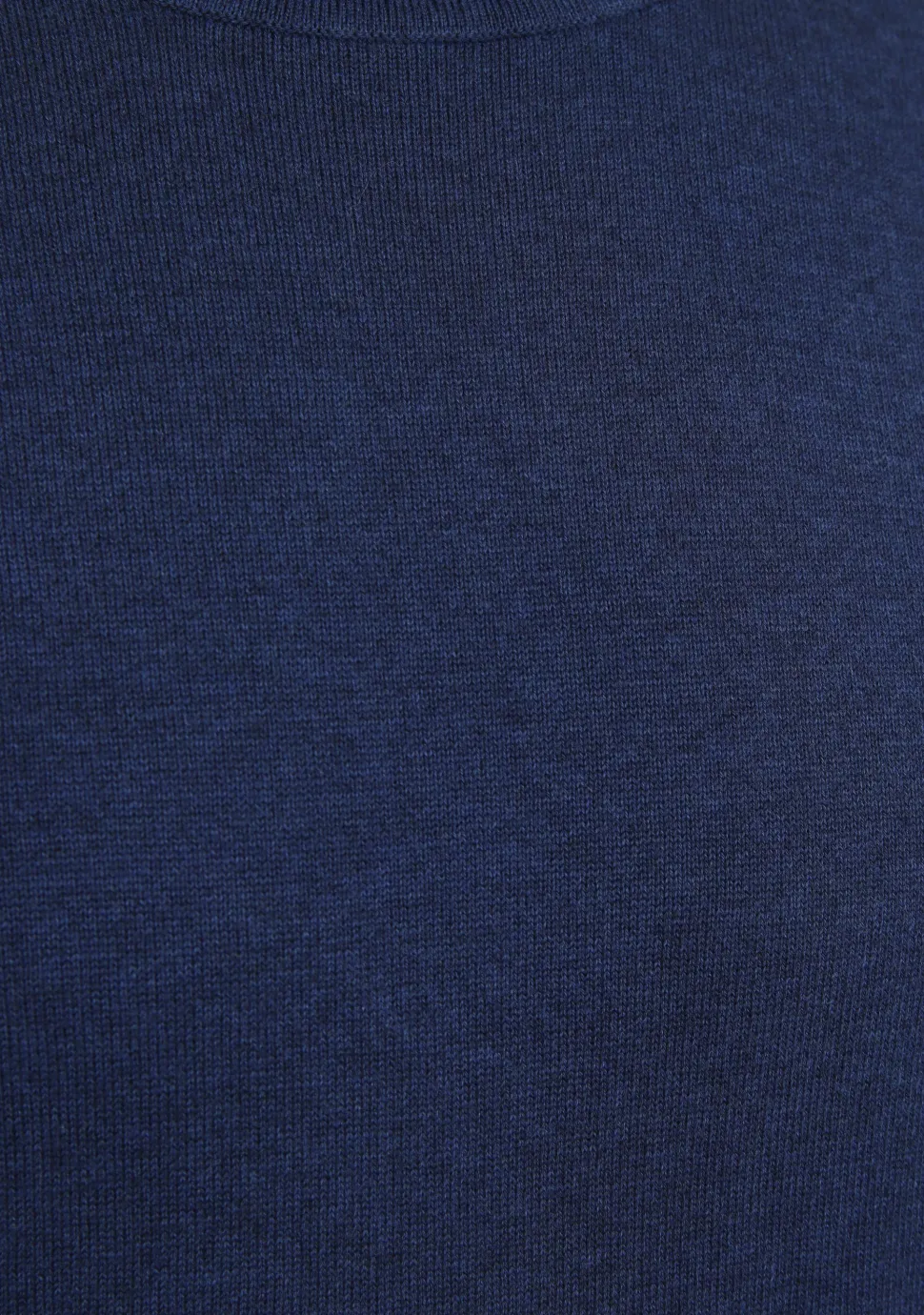 SCOTLAND BLUE COLTRUI