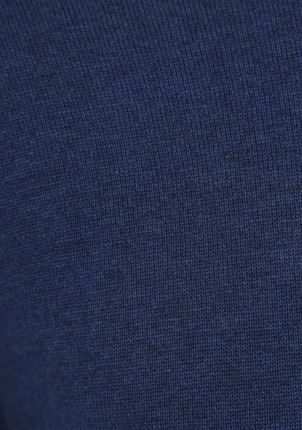 SCOTLAND BLUE COLTRUI